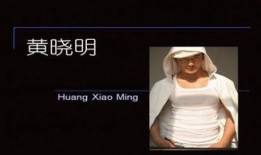 明星黑料ppt,PPT背后的真相与反思